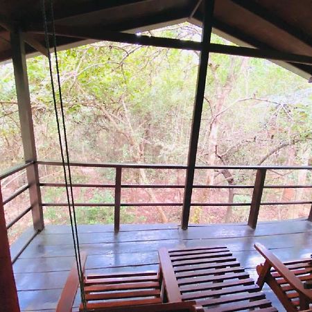 The Inn On The Tree Sigiriya Exterior foto