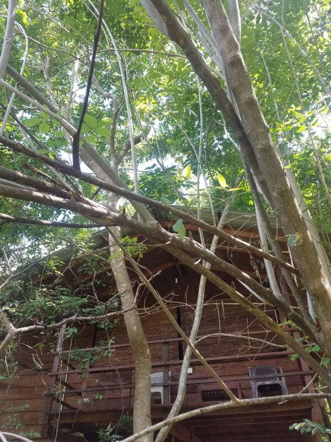 The Inn On The Tree Sigiriya Exterior foto