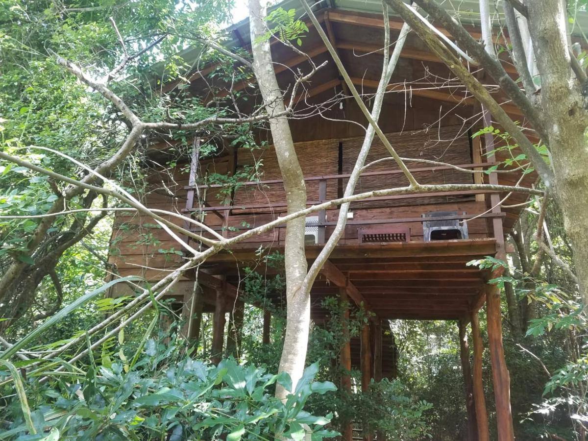 The Inn On The Tree Sigiriya Exterior foto