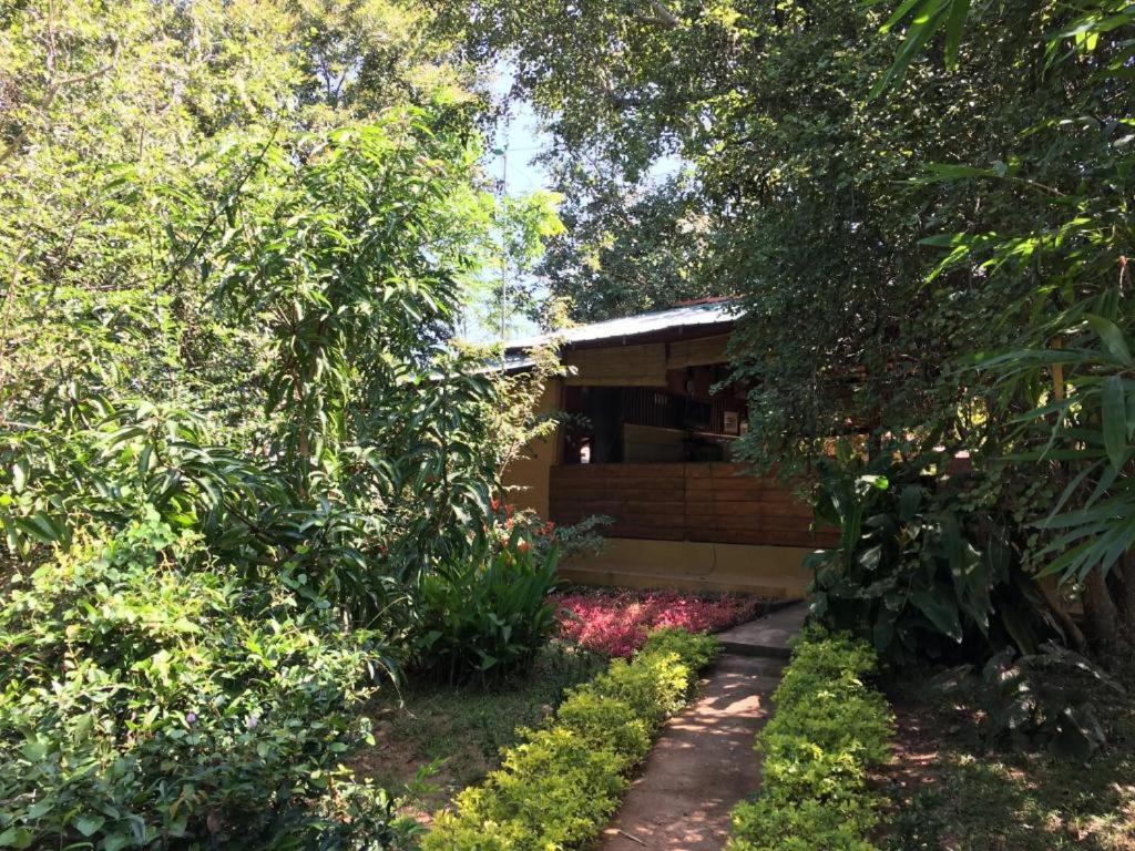 The Inn On The Tree Sigiriya Exterior foto