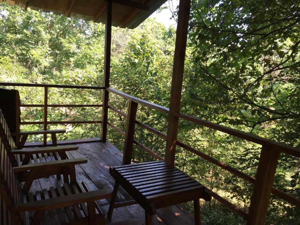 The Inn On The Tree Sigiriya Exterior foto
