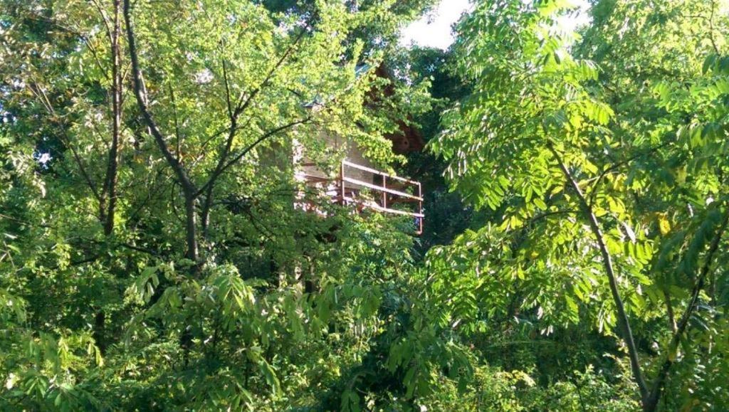 The Inn On The Tree Sigiriya Exterior foto