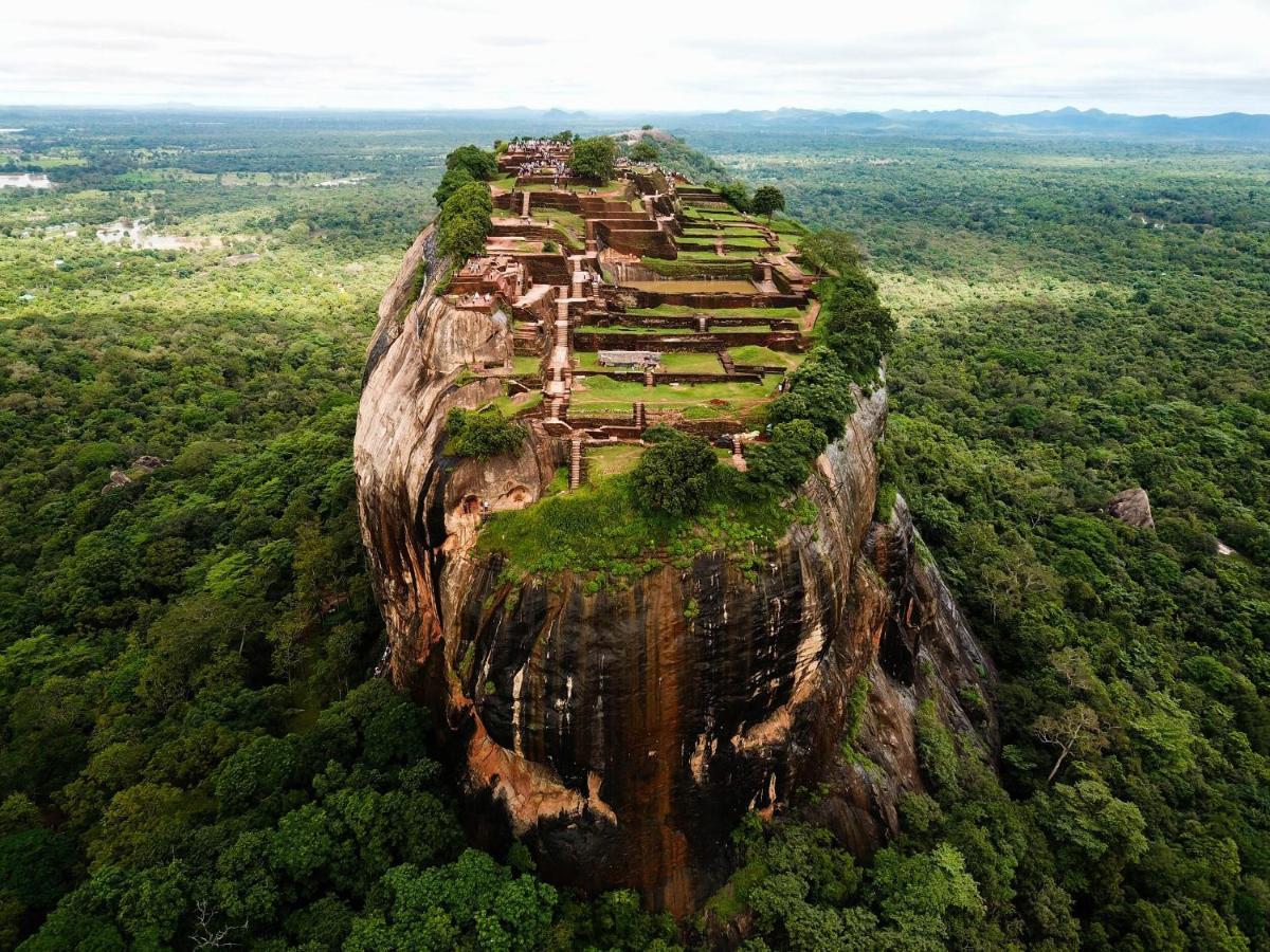 The Inn On The Tree Sigiriya Exterior foto