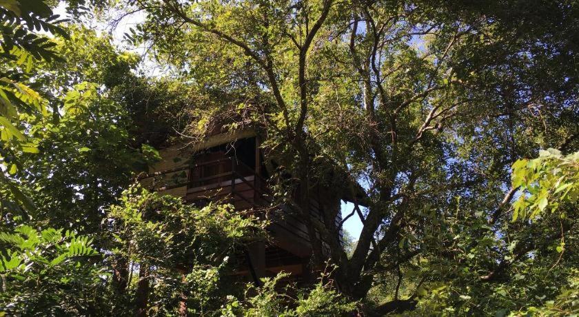 The Inn On The Tree Sigiriya Exterior foto